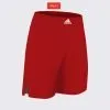 aA202s-Stock Competition Short
