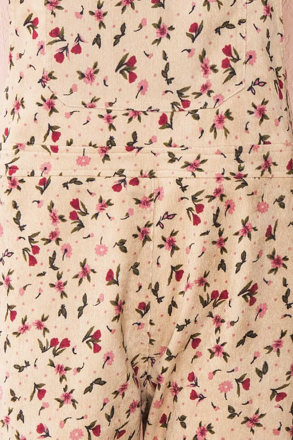 Acaste | Floral Denim Overalls