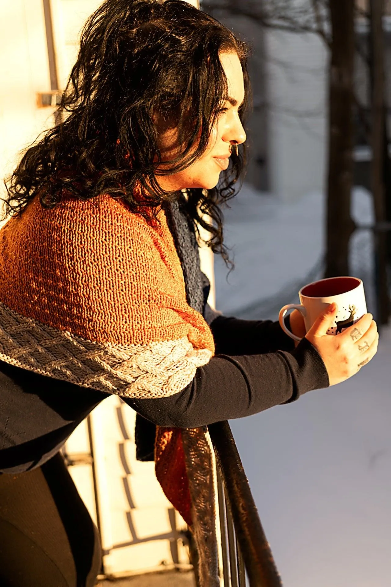 Day & Night shawl - KNITTING KIT